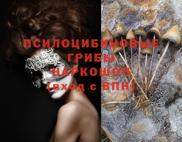 mdpv Алзамай