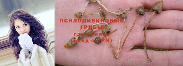 герыч Алексин