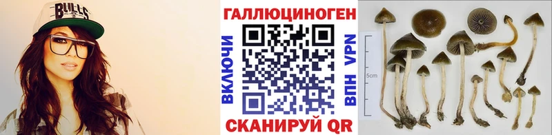 Псилоцибиновые грибы GOLDEN TEACHER Асино